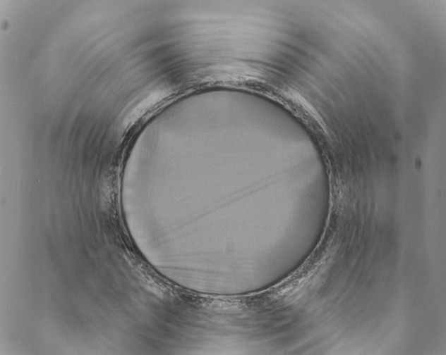 X0000088470874200706121527