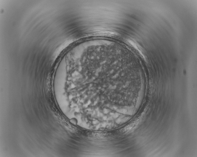 X0000088470875200706121527