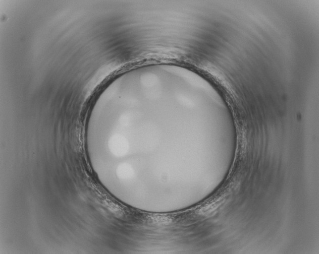 X0000088470878200706121527