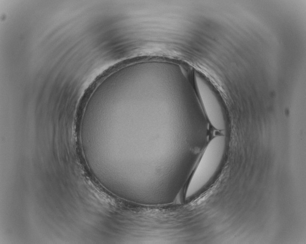 X0000088470880200706121527