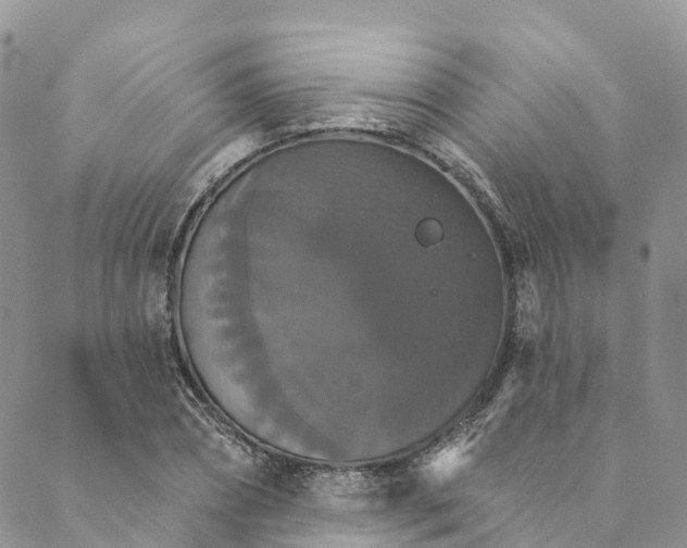 X0000088470882200706121526