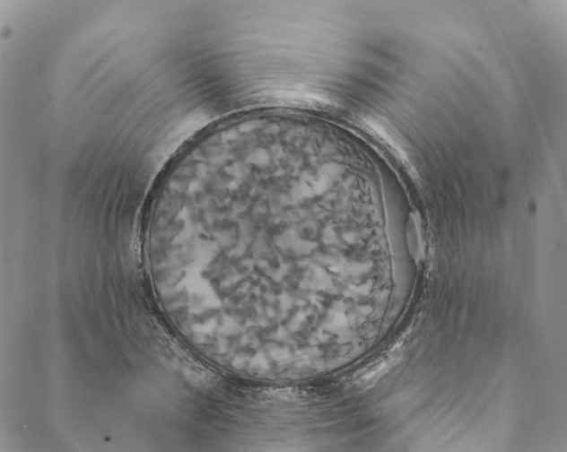 X0000088470883200706121526