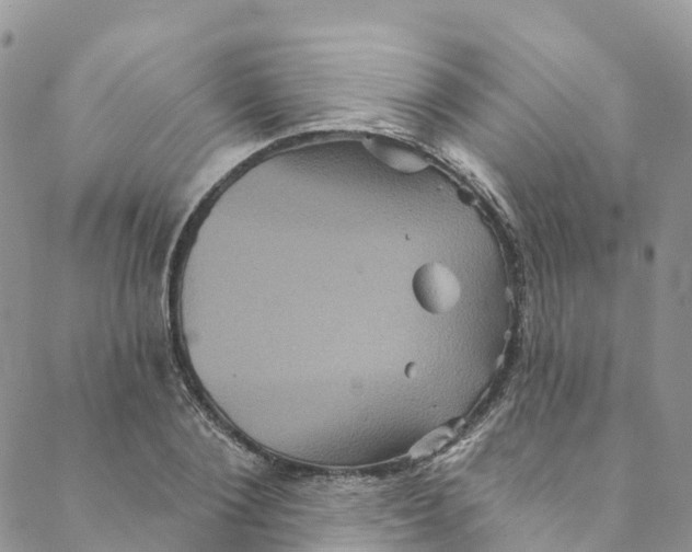 X0000088470884200706121526