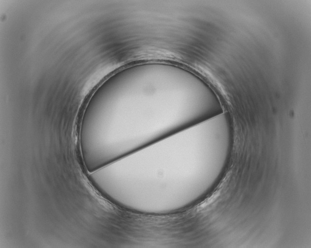 X0000088470885200706121526