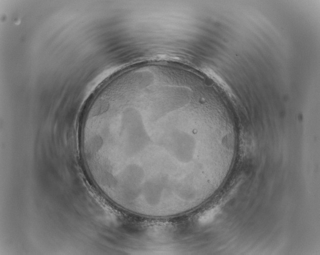 X0000088470886200706121526