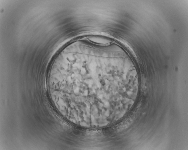 X0000088470887200706121526