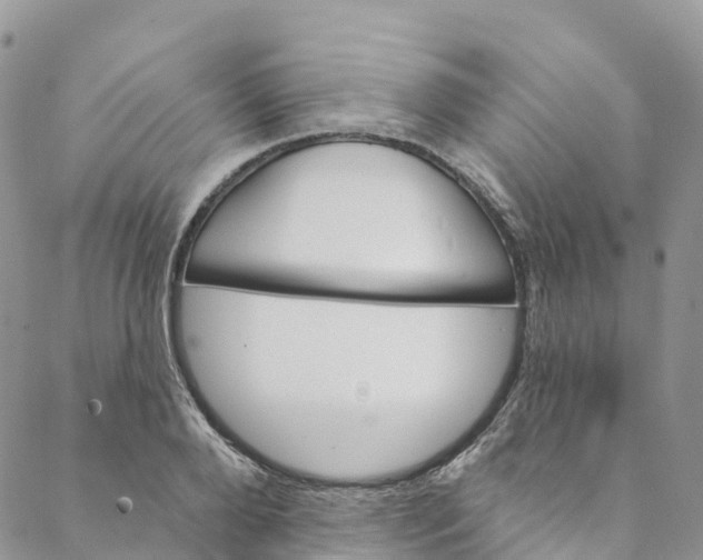 X0000088470888200706121526