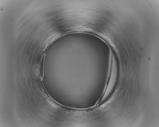 X0000088470889200706121526