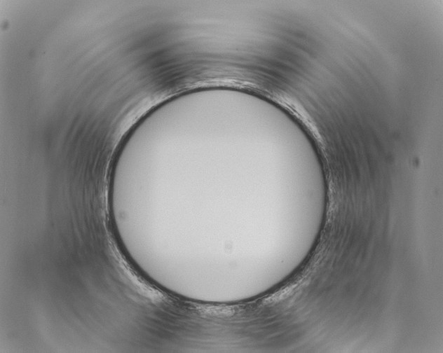 X0000088470890200706121526