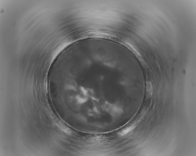 X0000088470891200706121526