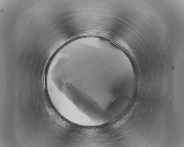 X0000088470892200706121526