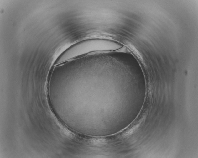 X0000088470893200706121526