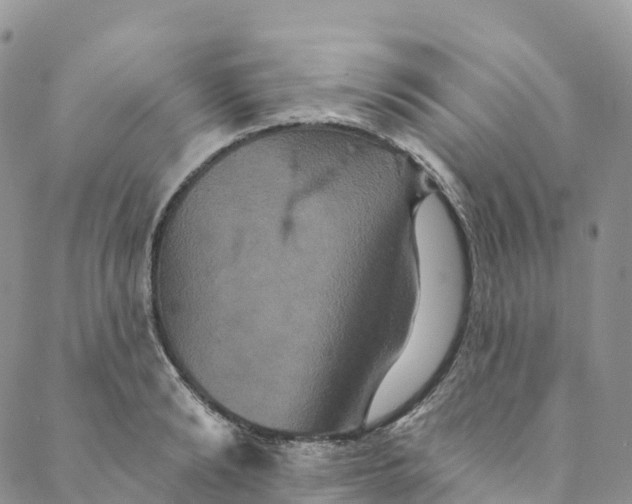 X0000088470894200706121526