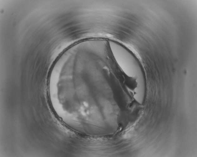 X0000088470895200706121526