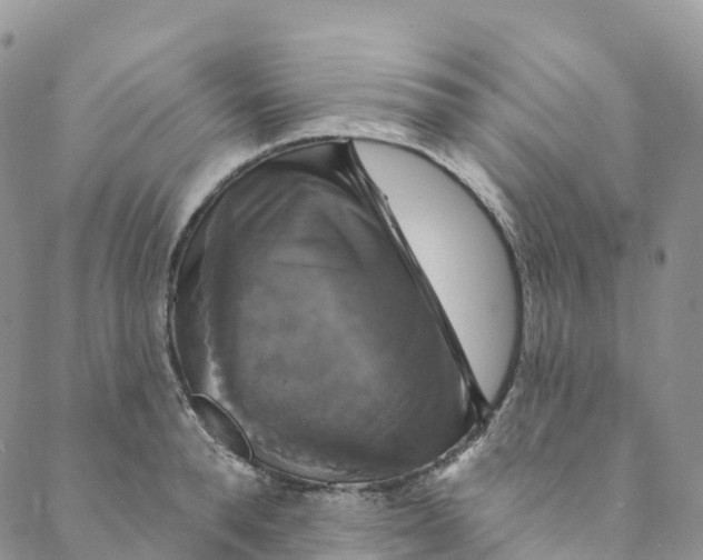 X0000088470896200706121526