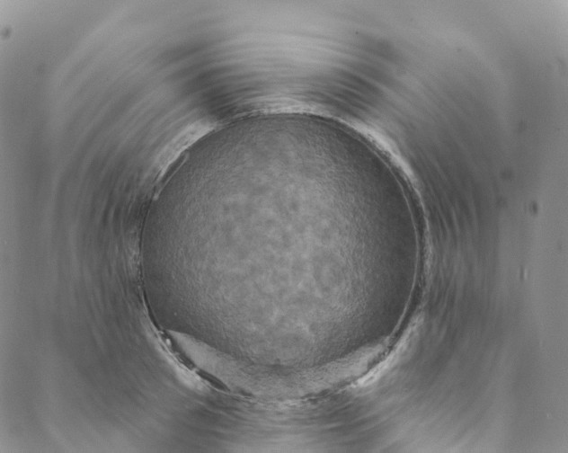 X0000088470897200706121526