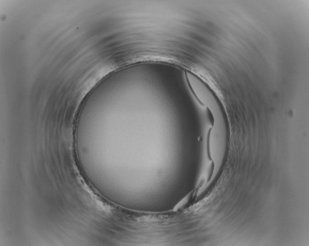 X0000088470898200706121526