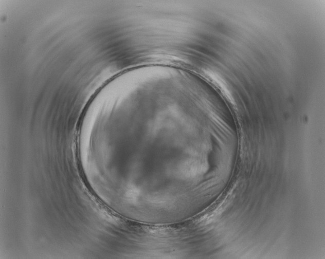 X0000088470899200706121526