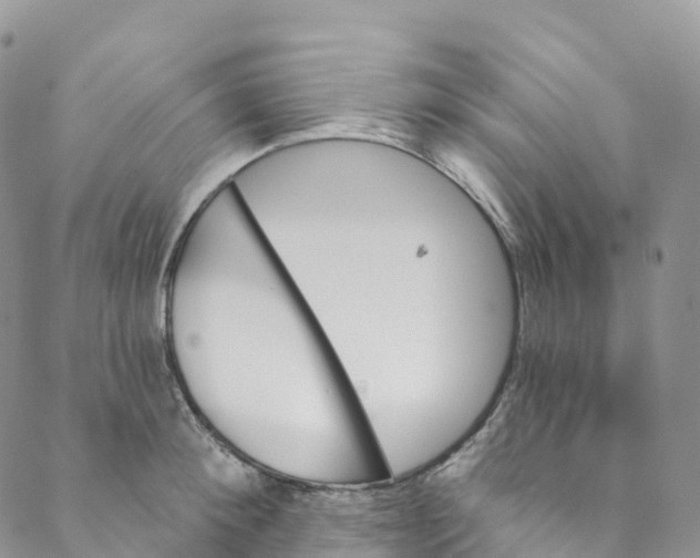 X0000088470900200706121526