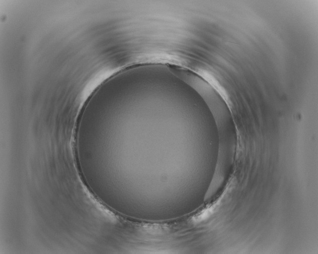 X0000088470901200706121526