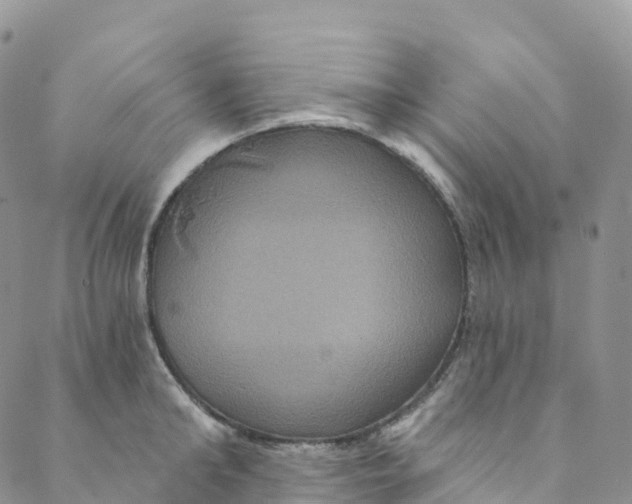 X0000088470902200706121526