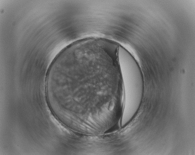 X0000088470903200706121526