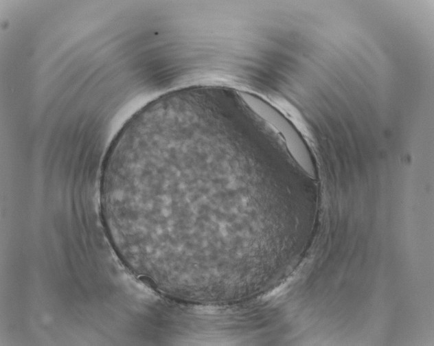 X0000088470904200706121526