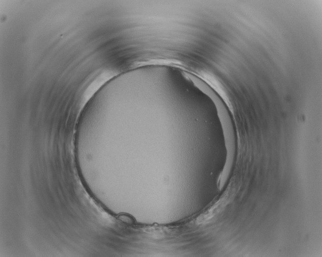 X0000088470906200706121526