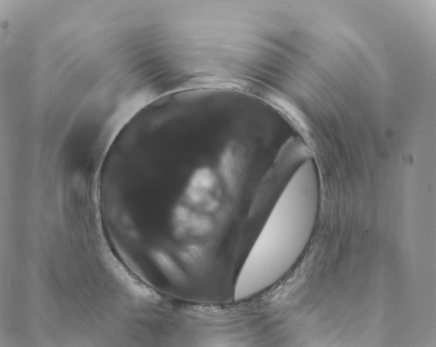 X0000088470907200706121526