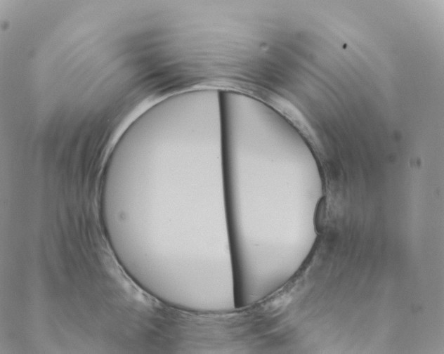 X0000088470908200706121526