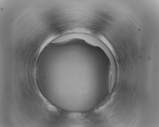 X0000088470909200706121526