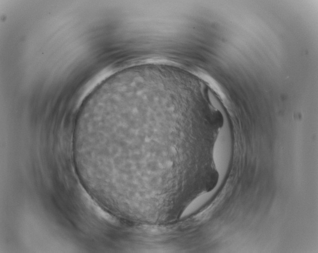 X0000088470910200706121526