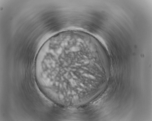 X0000088470911200706121526