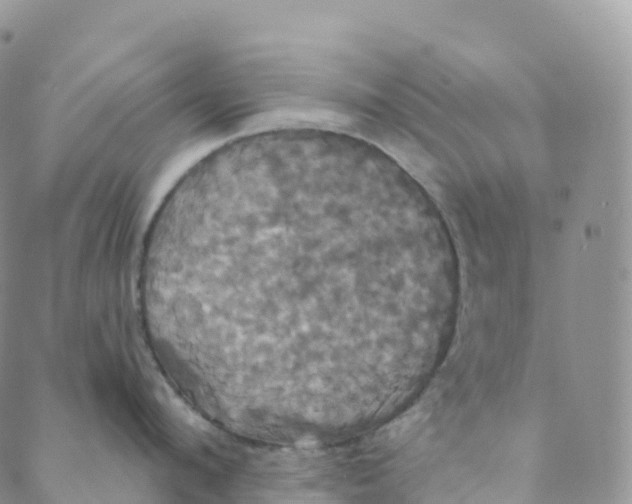 X0000088470912200706121526