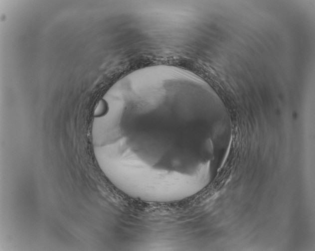 X0000088470913200706121525