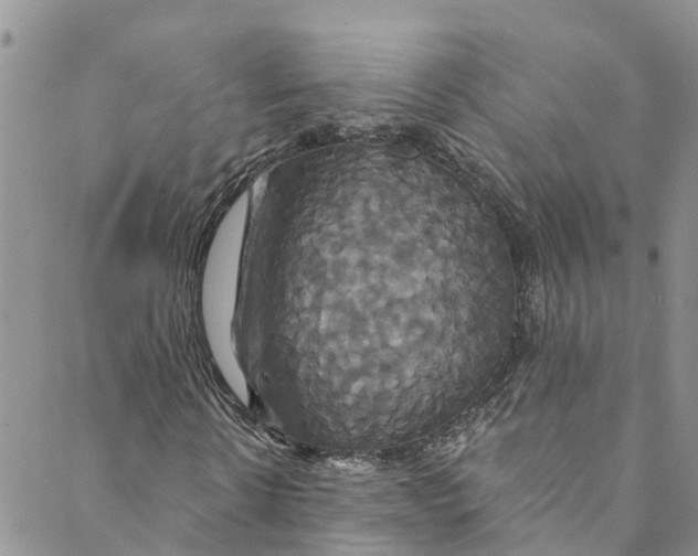 X0000088470914200706121525