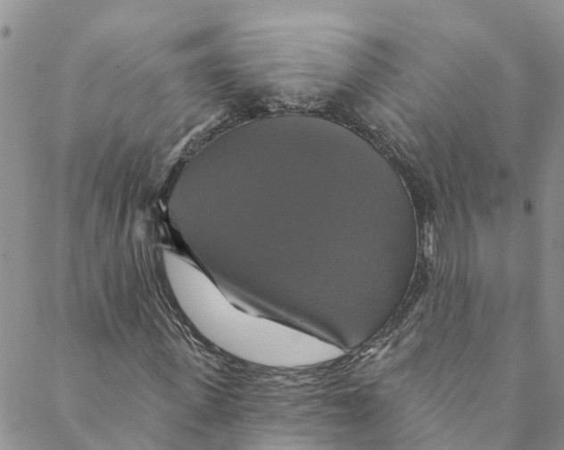 X0000088470915200706121525