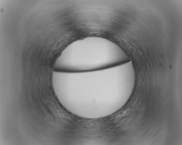 X0000088470916200706121525