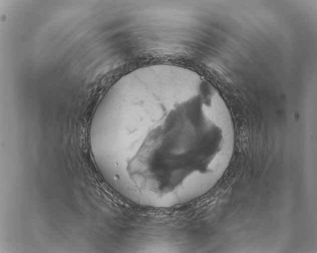 X0000088470917200706121525