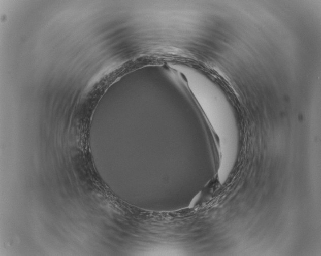 X0000088470919200706121525