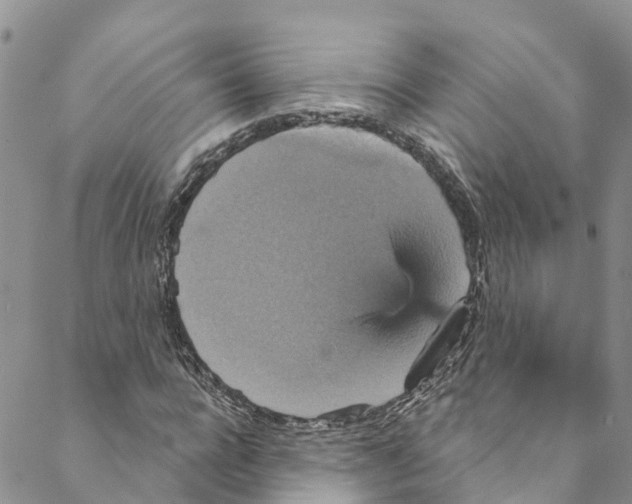 X0000088470920200706121525