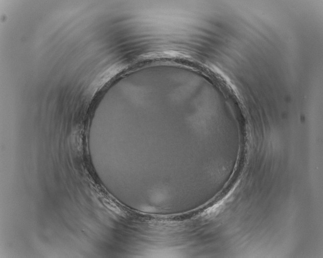 X0000088470921200706121525