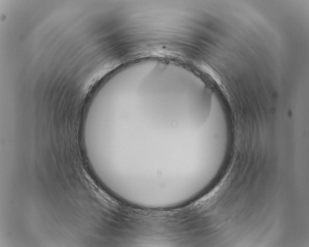 X0000088470922200706121525