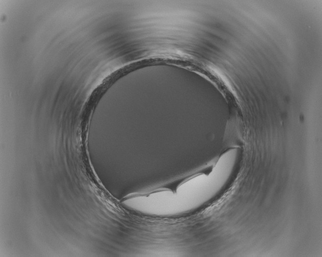 X0000088470923200706121525