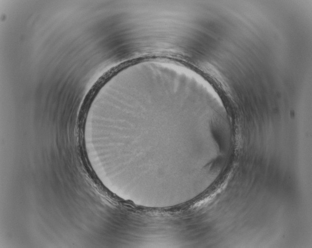 X0000088470924200706121525