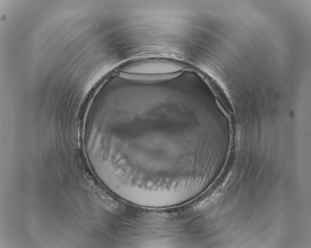 X0000088470925200706121525