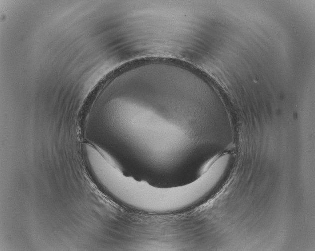 X0000088470926200706121525