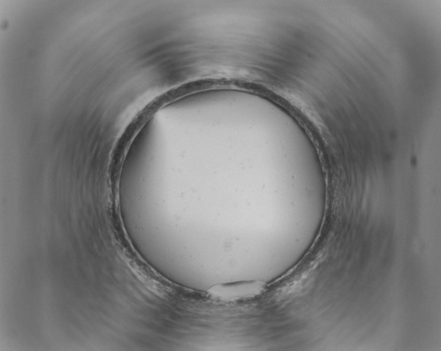 X0000088470927200706121525