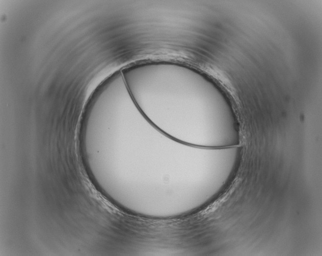 X0000088470928200706121525