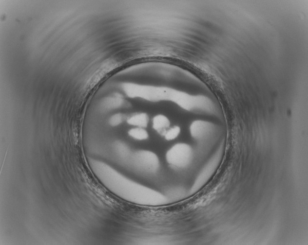 X0000088470929200706121525